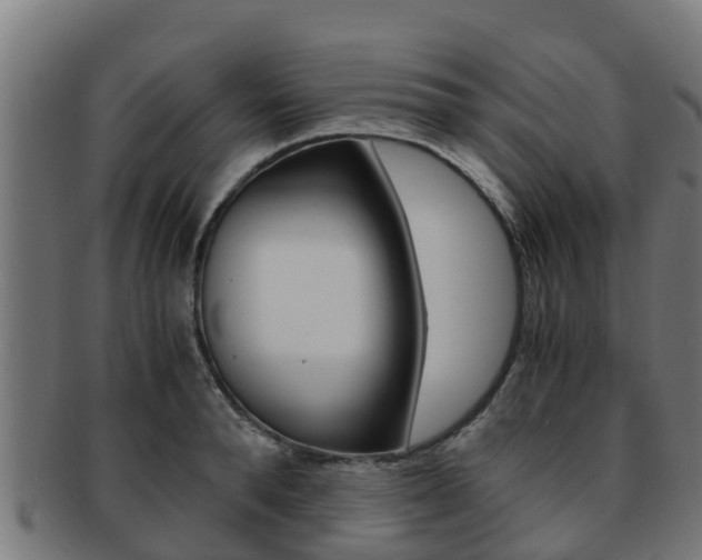 X0000091980896200709061150