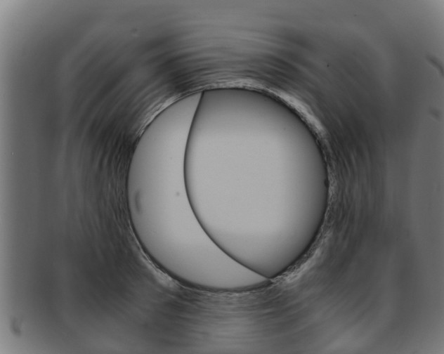 X0000091980897200709061150