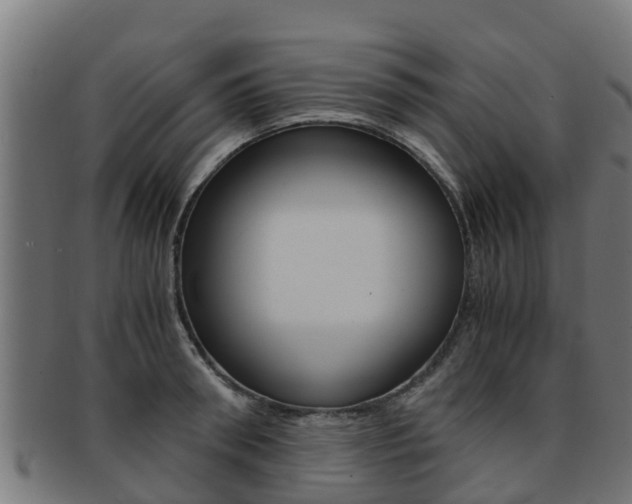 X0000091980898200709061150