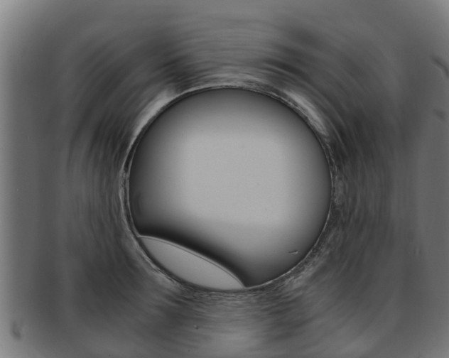 X0000091980899200709061150