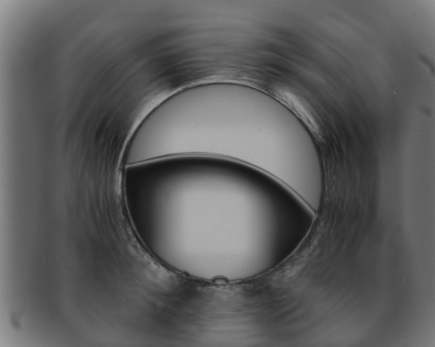 X0000091980900200709061150