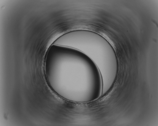 X0000091980901200709061150