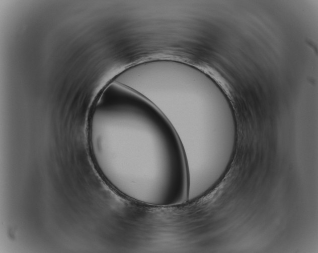X0000091980902200709061150
