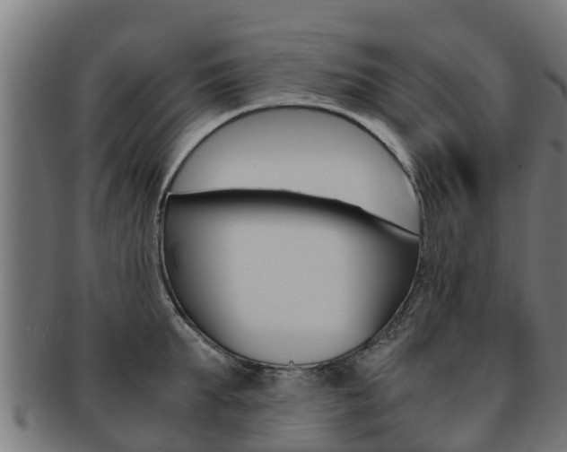 X0000091980903200709061150