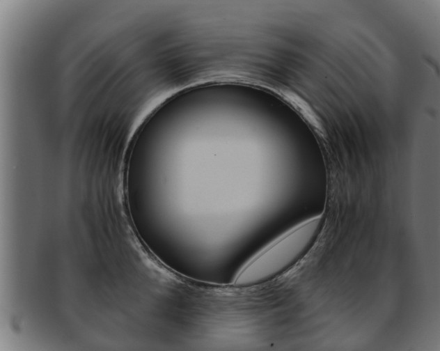 X0000091980904200709061150