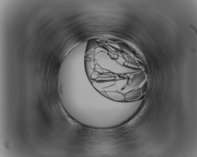 X0000091980905200709061150