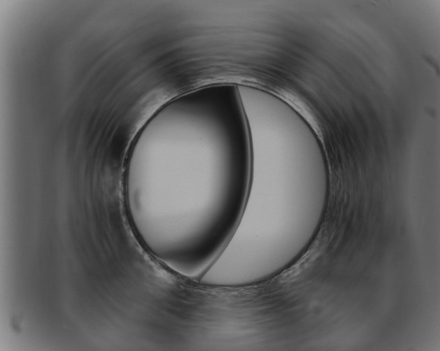 X0000091980906200709061150