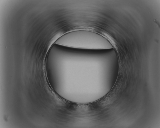 X0000091980907200709061150