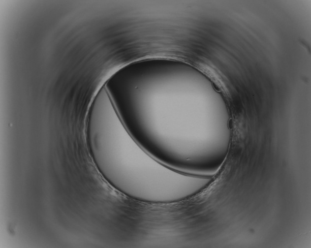 X0000091980908200709061150