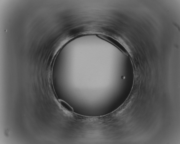 X0000091980909200709061150