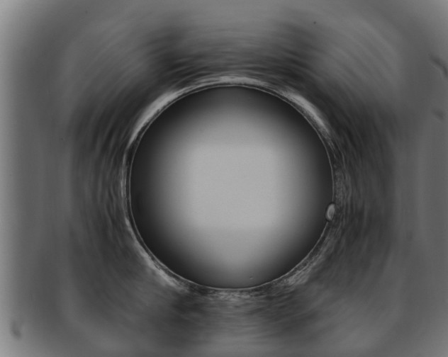 X0000091980910200709061150