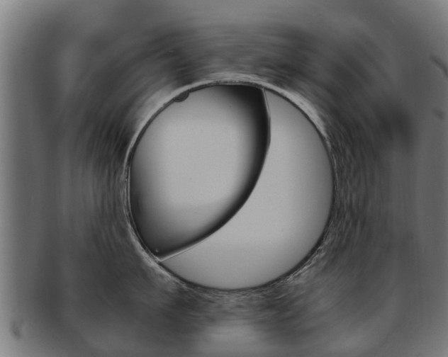 X0000091980911200709061150