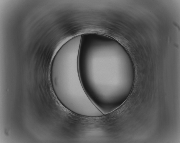 X0000091980912200709061150