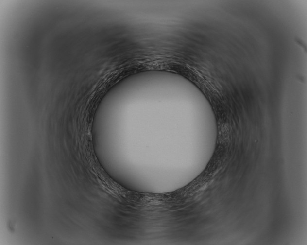 X0000091980913200709061149