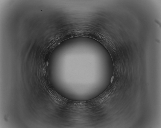 X0000091980914200709061149