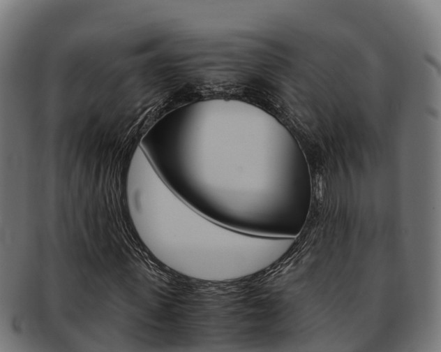 X0000091980915200709061149