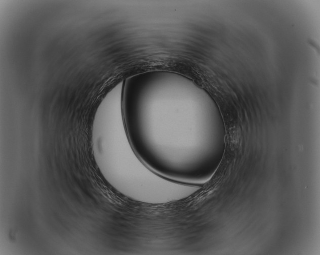 X0000091980916200709061149