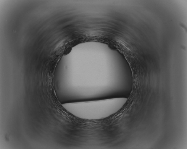 X0000091980917200709061149