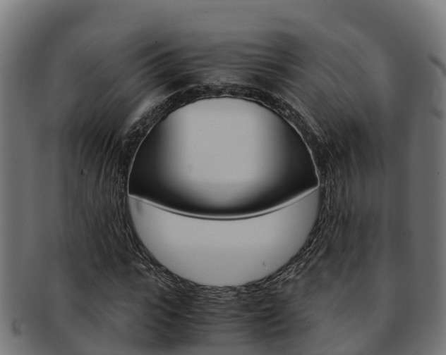 X0000091980919200709061149