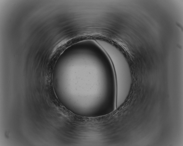 X0000091980920200709061149
