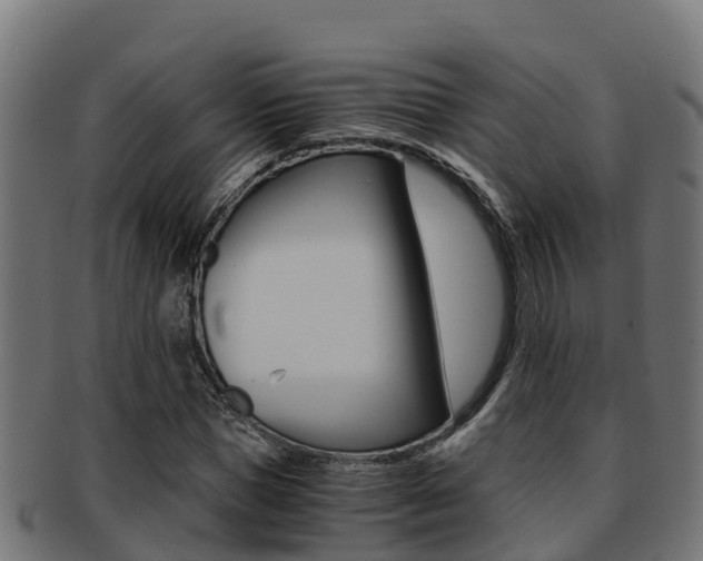 X0000091980921200709061149