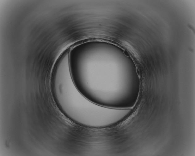 X0000091980924200709061149