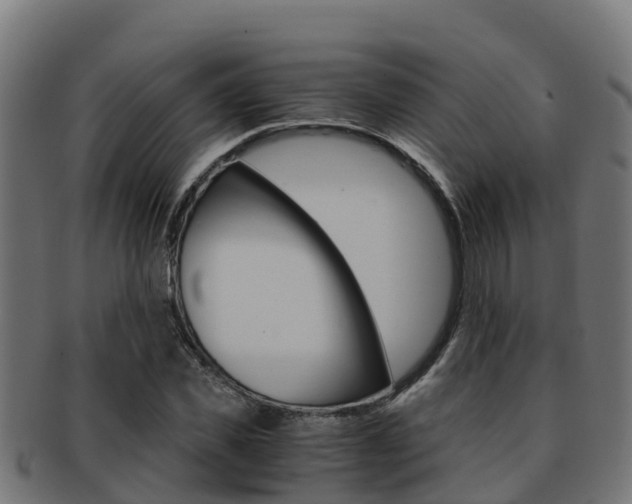 X0000091980925200709061149