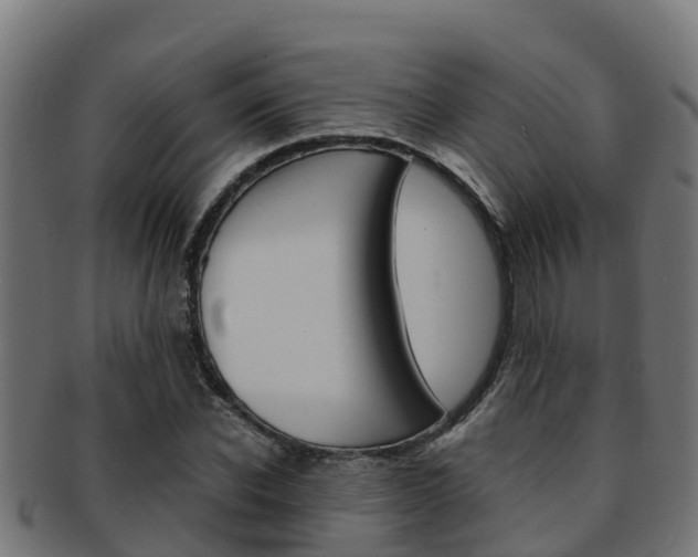 X0000091980926200709061149