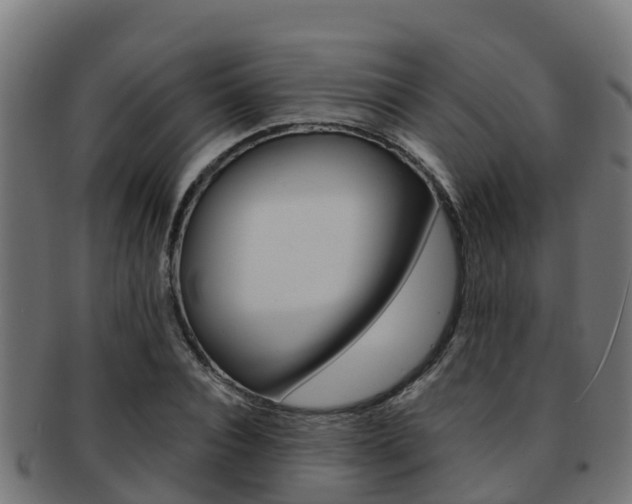 X0000091980928200709061149