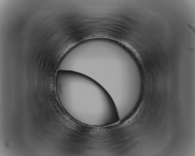 X0000091980929200709061149