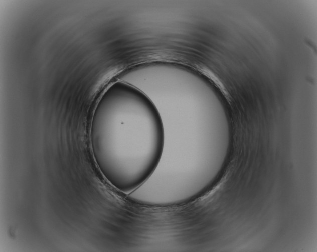 X0000091980930200709061149