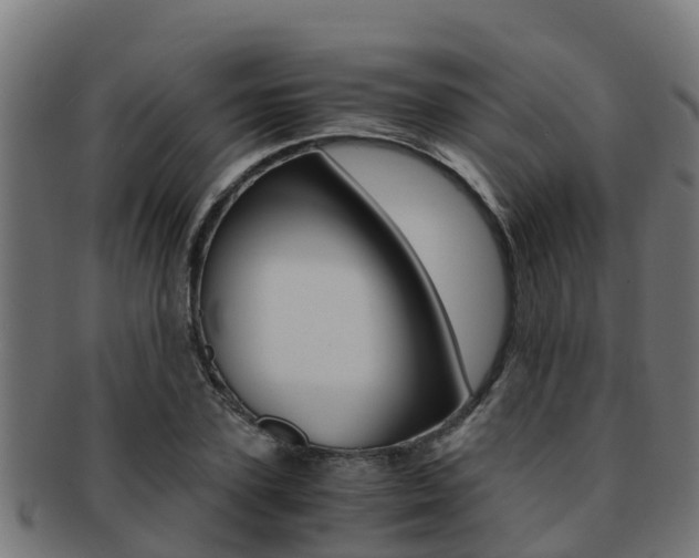 X0000091980931200709061149