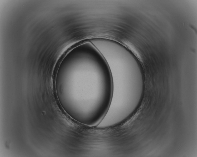 X0000091980932200709061149