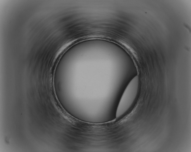 X0000091980933200709061149