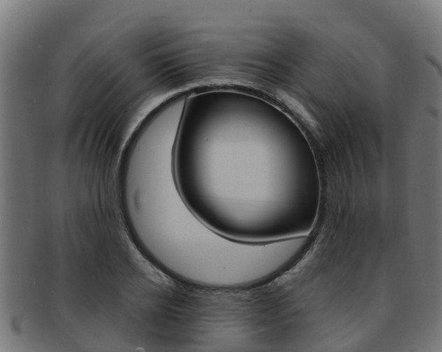 X0000091980934200709061149