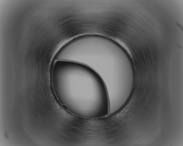 X0000091980935200709061149