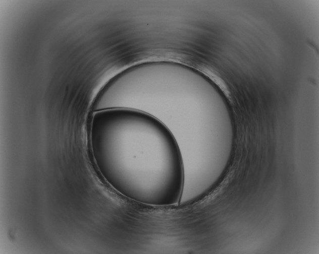 X0000091980936200709061149