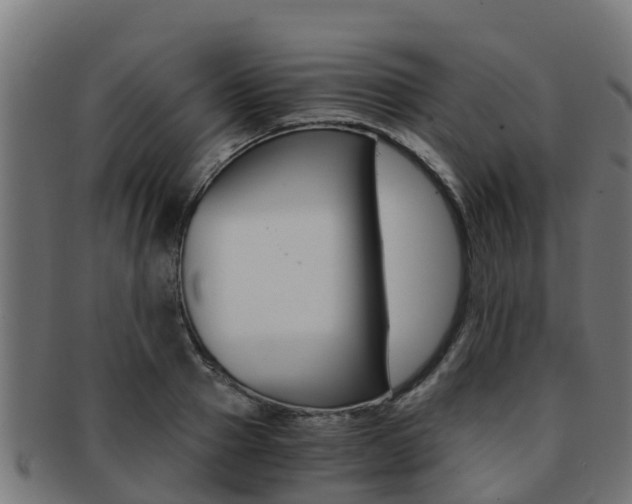 X0000091980937200709061149