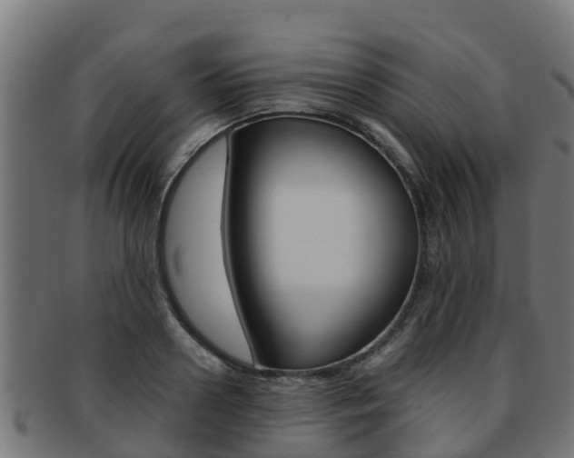 X0000091980938200709061149