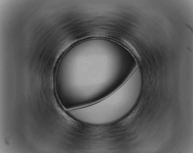 X0000091980939200709061149