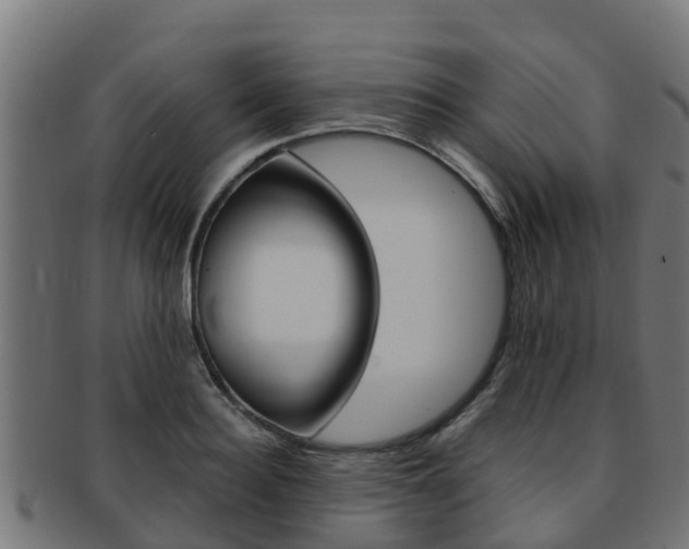 X0000091980940200709061149