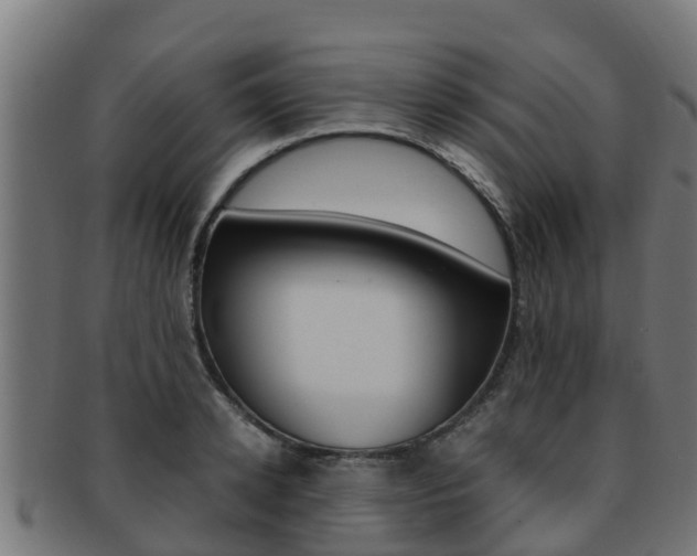 X0000091980942200709061149