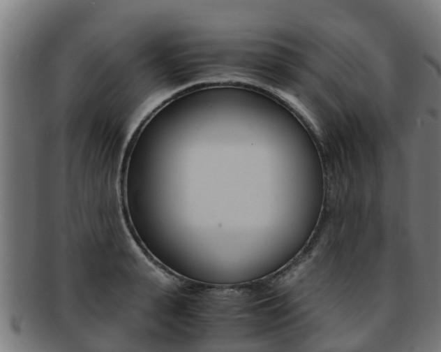 X0000091980943200709061149
