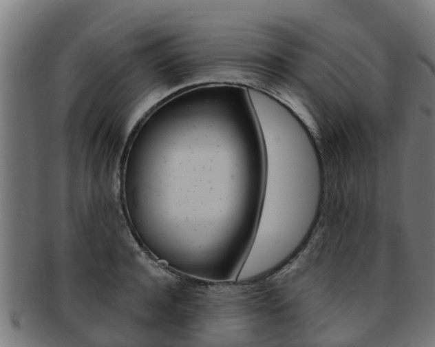 X0000091980944200709061149
