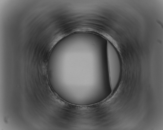 X0000091980945200709061149