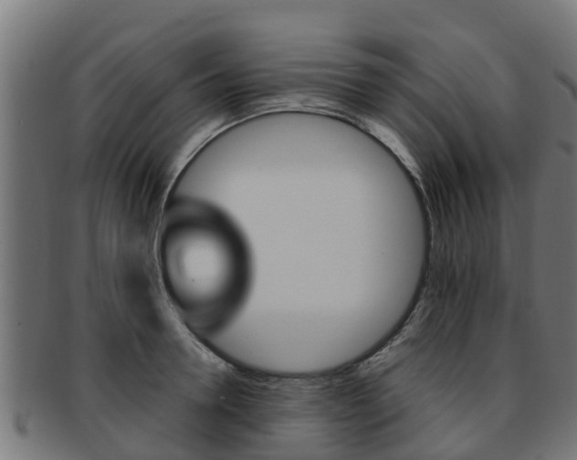 X0000091980946200709061149