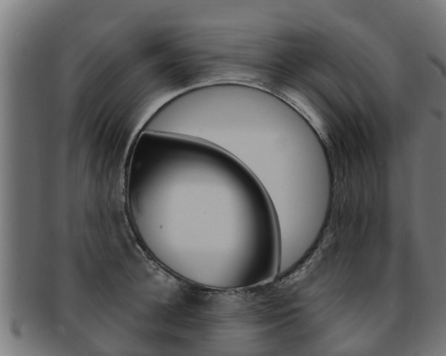 X0000091980948200709061149