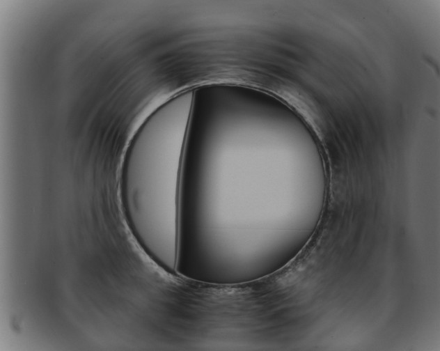 X0000091980949200709061149