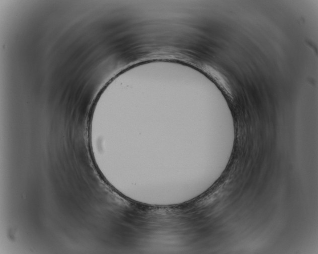 X0000091980950200709061149