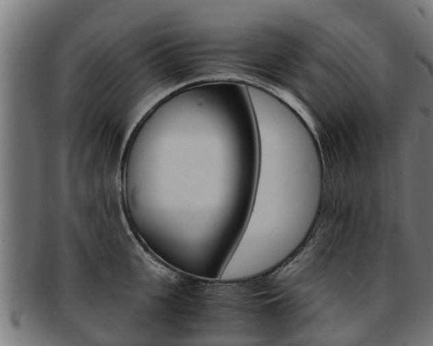 X0000091980951200709061149